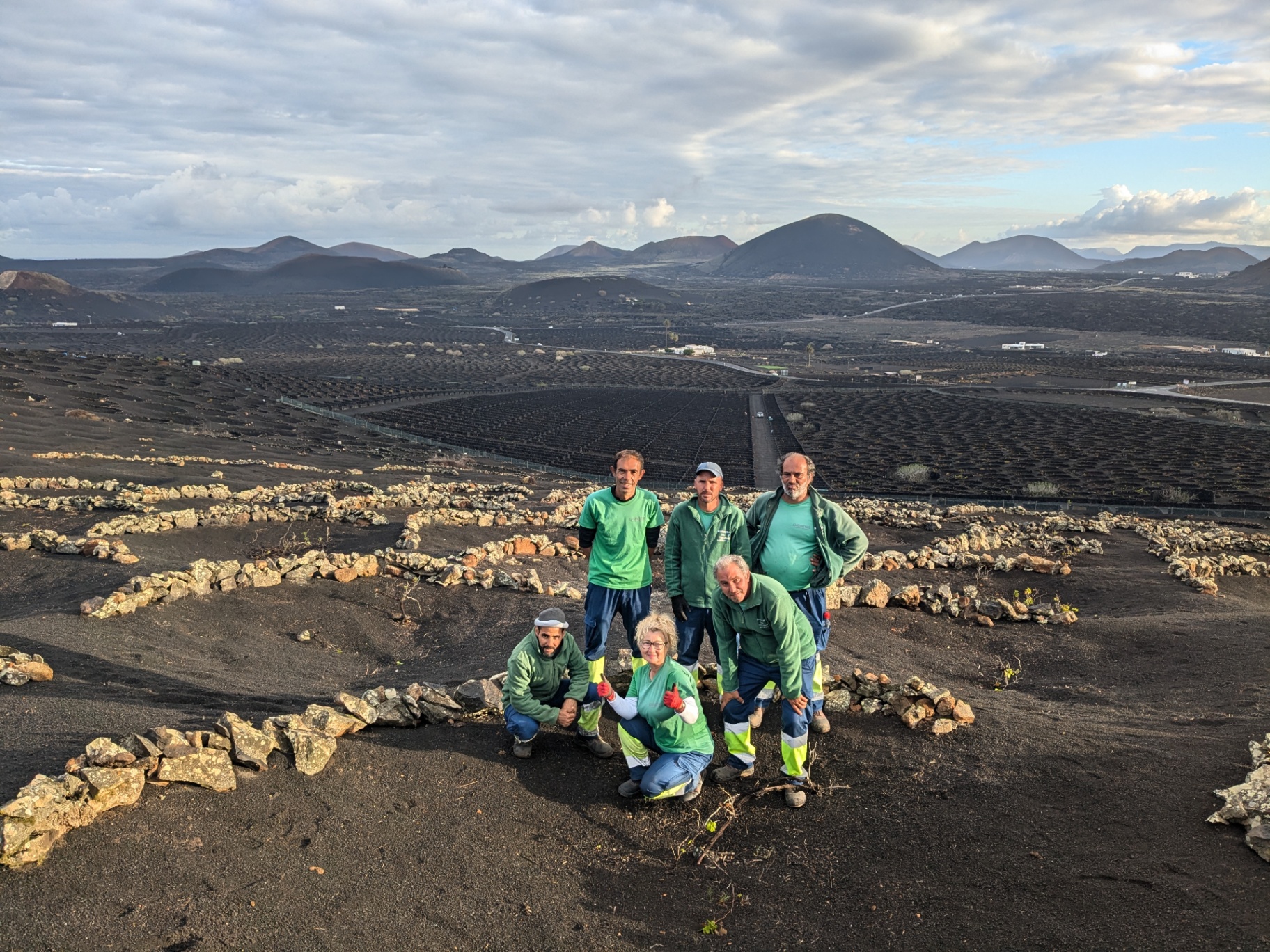 Equipo trabajando entre socos de piedra volcánica con el paisaje de La Geria al fondo