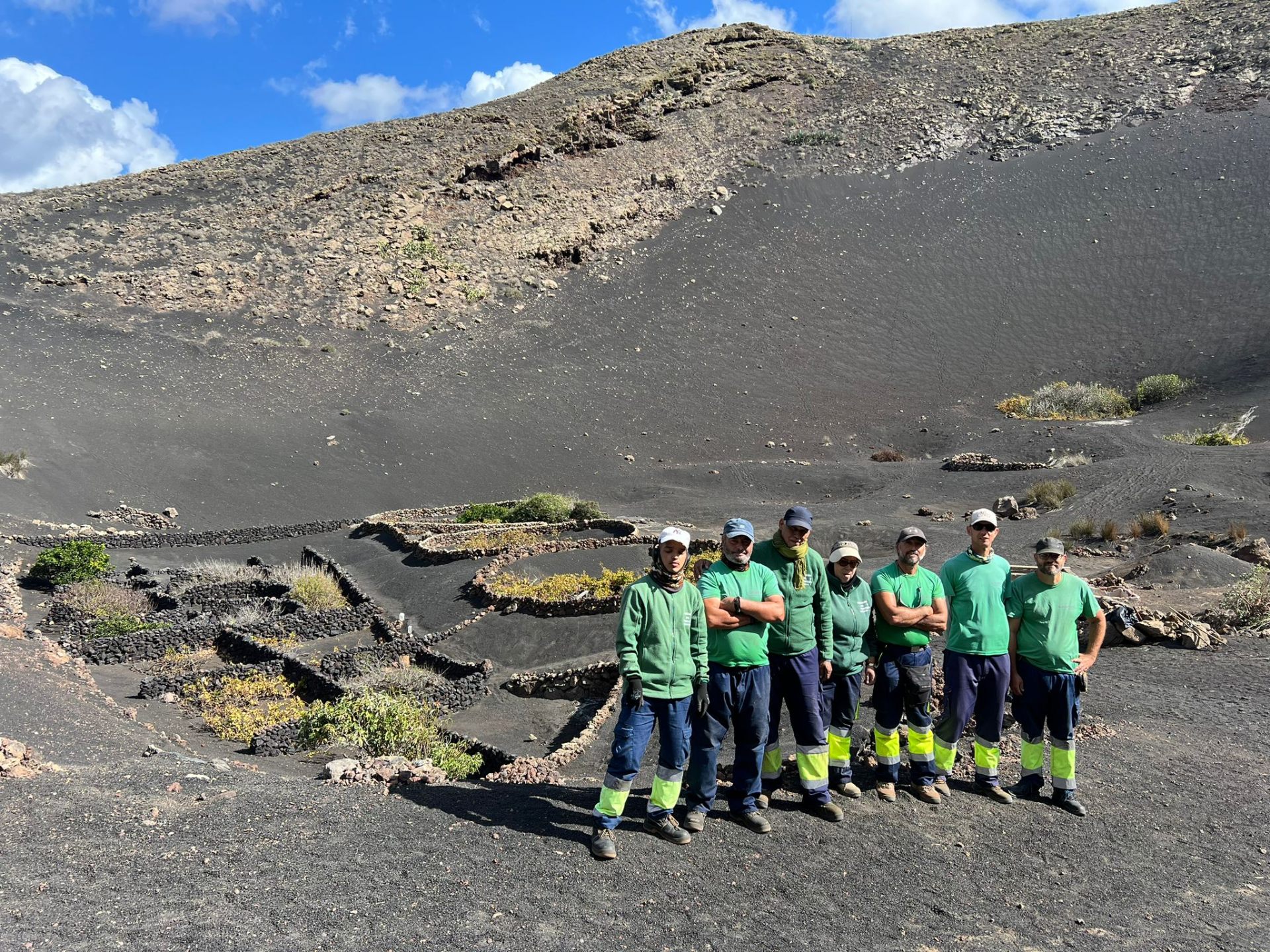 Equipo del vivero trabajando entre los socos de La Geria en Lanzarote